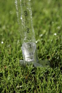 Our water demand is dropping as our love of turf and pools shrinks