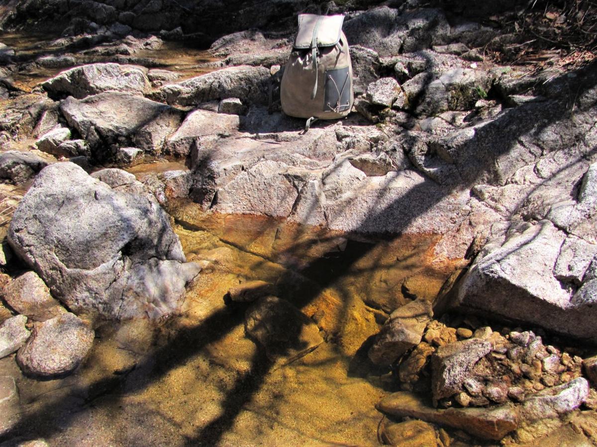 Woodland Wonders Await Along The Green Mountain Trail Outdoors