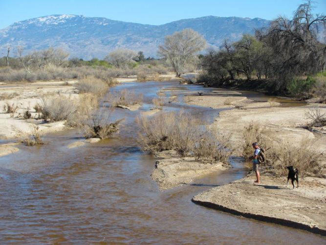Tanque Verde Creek still flowing