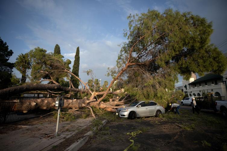 Monsoon cleanup morning