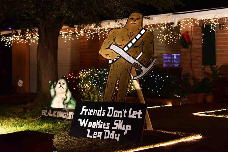 Winterhaven Festival of Lights 2015