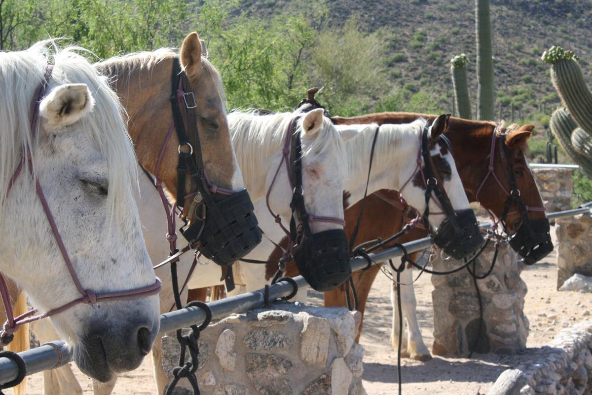This summer, host an Old West party