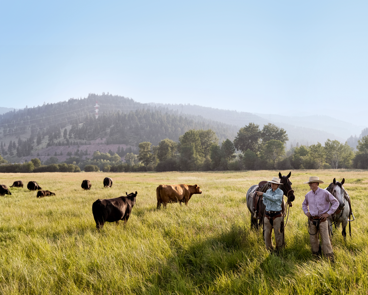 Issue No. 23: Grass-finished beef with regenerative cattle ranchers