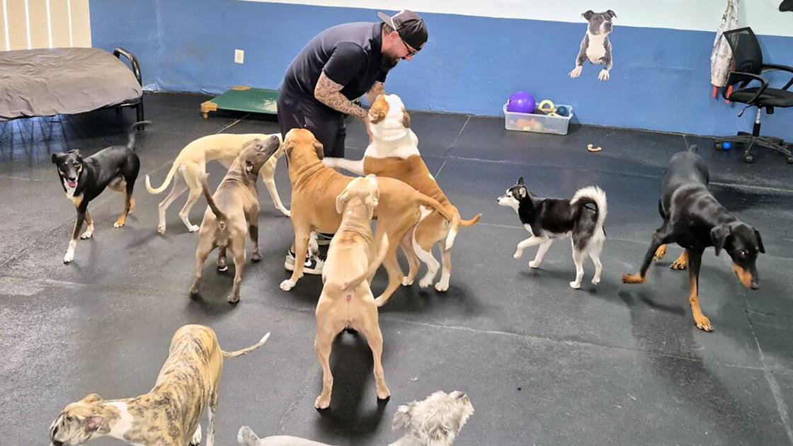 Affordability focus of new doggie daycare in Tucson