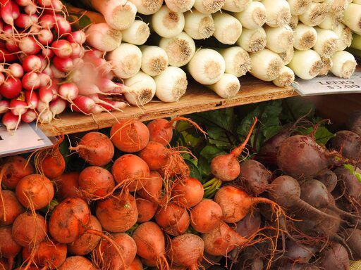 Keep pets away from gardens to prevent food-borne illness