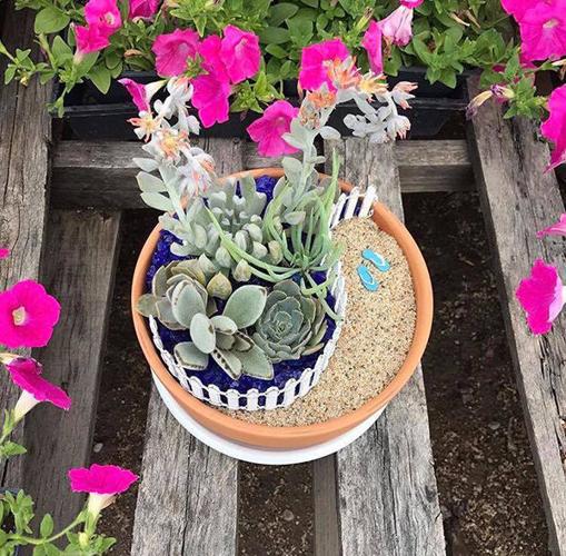 Yoga and Mini Meditation Gardens