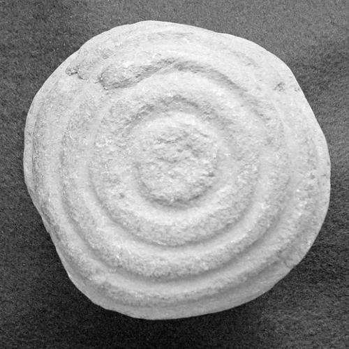 'Circle stone' a puzzle at ancient Sierra Vista site  