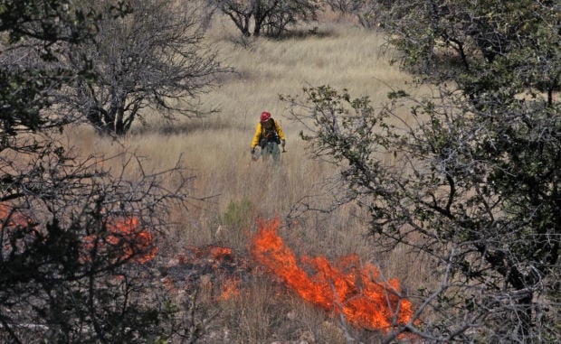 Prescribed burn