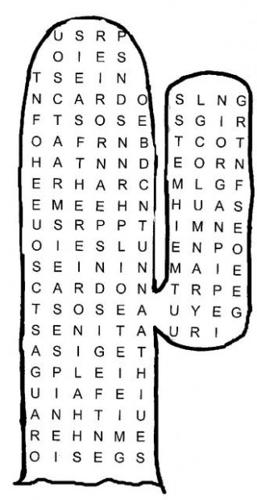 Columnar cacti of the Sonoran Desert  