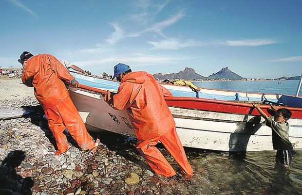 Giant squid, giant opportunity  