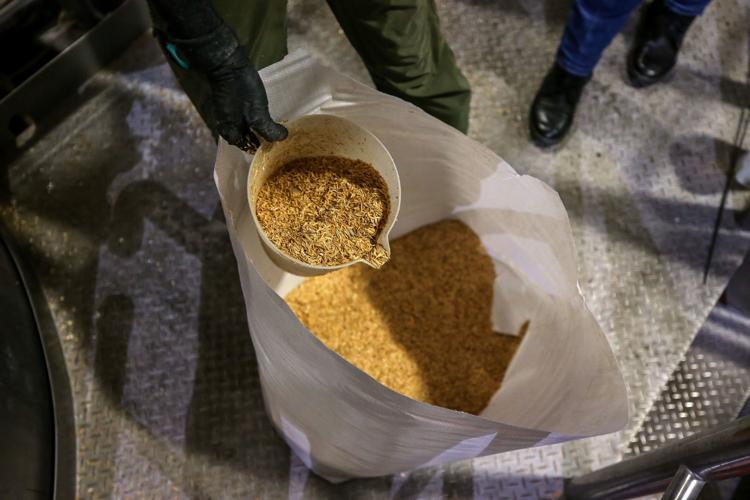 Las Hermanas Brewing-p06.JPG