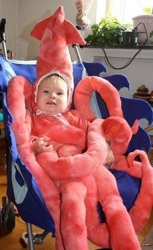 Squid