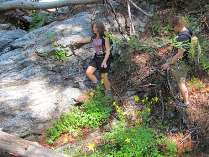 Hikers and wildflowers