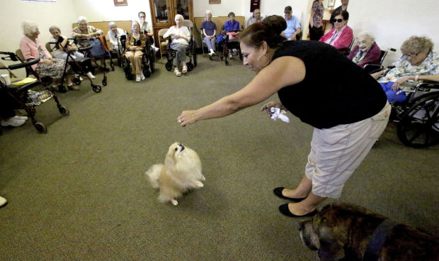 Dog Show at Sherwood Village