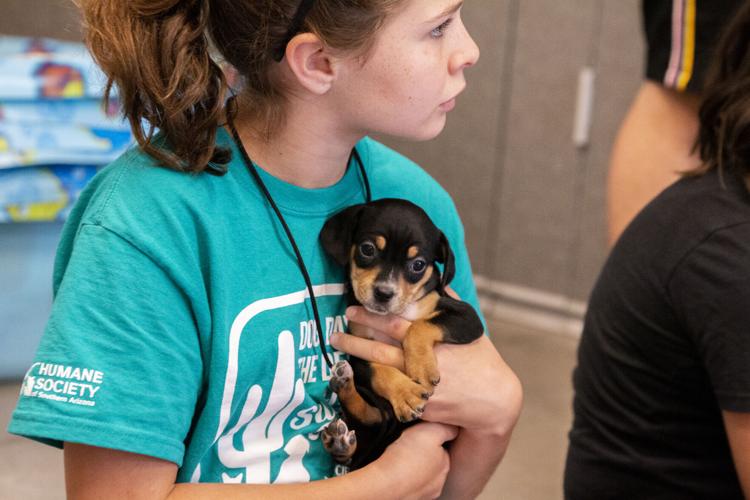 Hand in Paw Kids Club