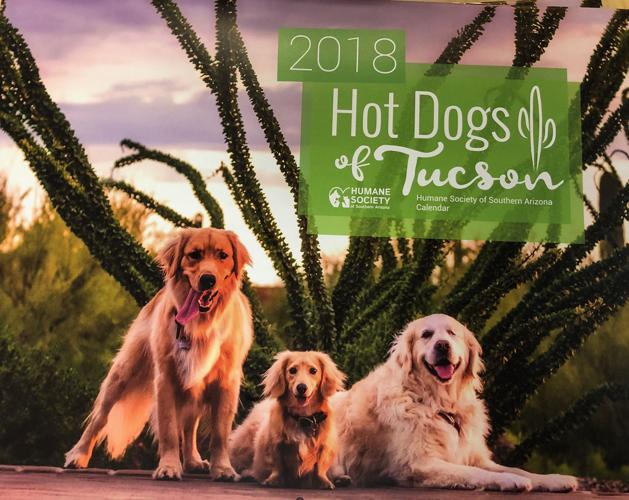 Hot Dogs Calendar 2018