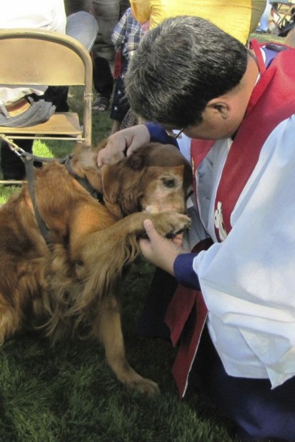 Blessing of Animals service