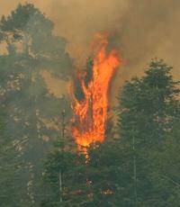 The Aspen Fire began