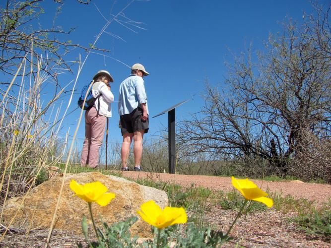 Visitors along trail