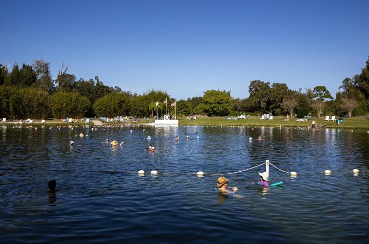 Swimmers wade in the mineral-rich waters at Warm Mineral Springs in North Port.