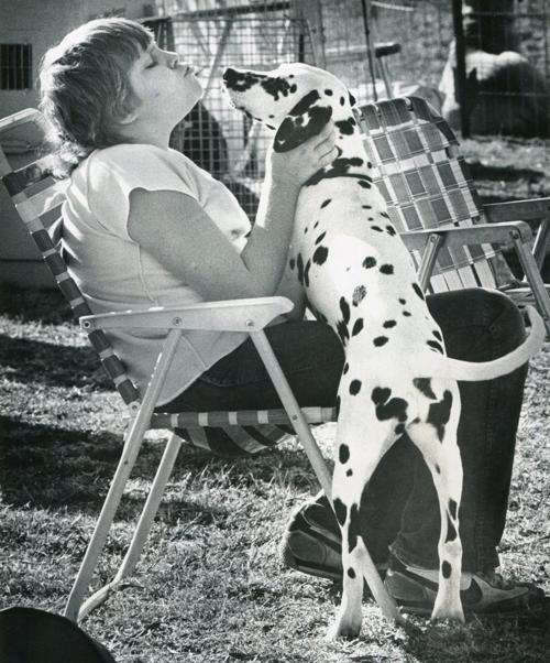 Dog show affection (1984)