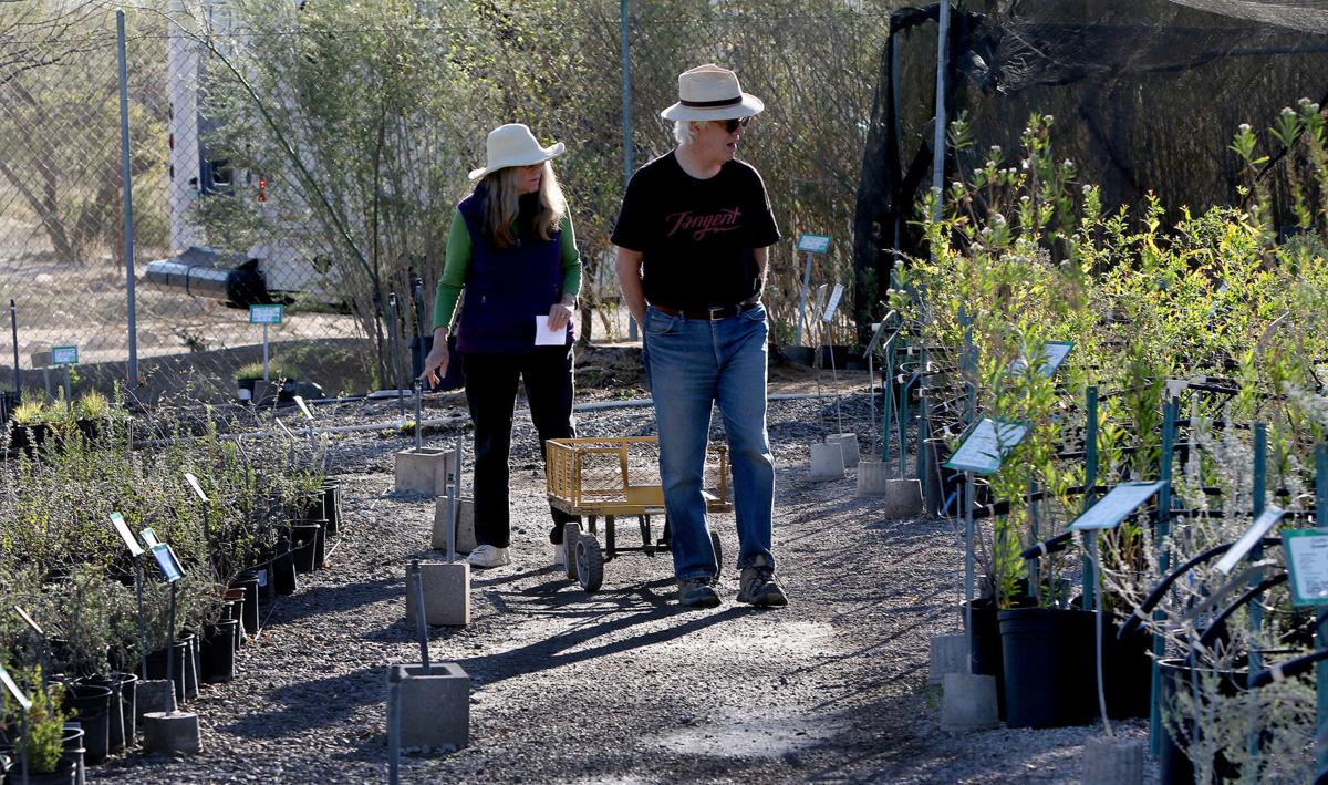 Spring sale blooms at Desert Survivors