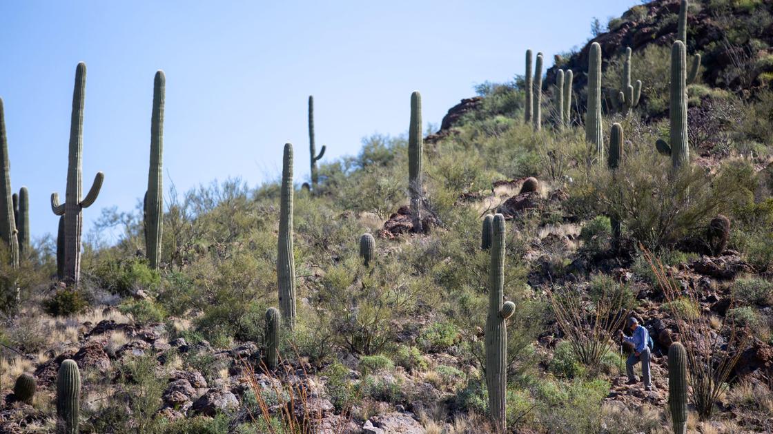 Community happy thanksgiving Community happy thanksgiving