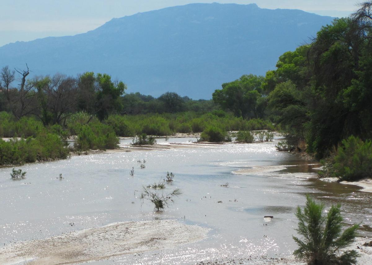 Tanque Verde Creek flow and greenery