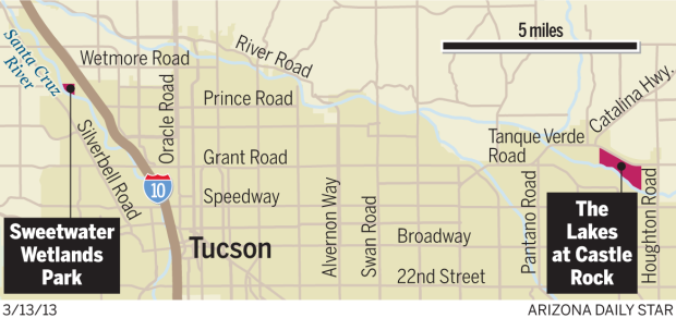 City's artificial lakes are magnets for birds    