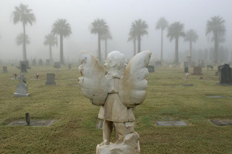 Stunning photos of Tucson fog