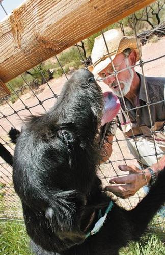 Border crossers appear guilty of blinding dog with pepper  