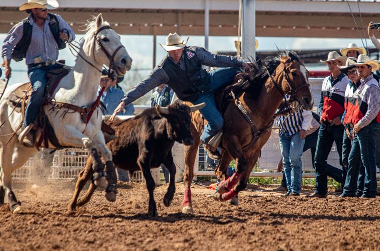 Arizona Wildcats rodeo