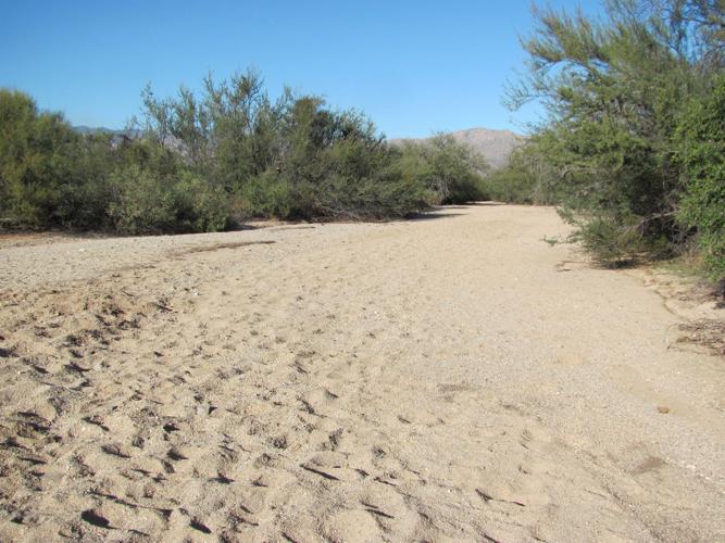 Desert Ecology Trail