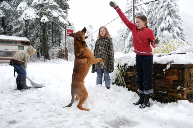Animal shots of the week