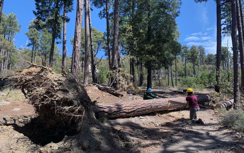 Huge trail expansion plan for Santa Catalina Mountains approved