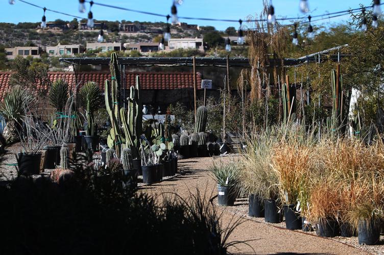 Sundrea Landscape Center