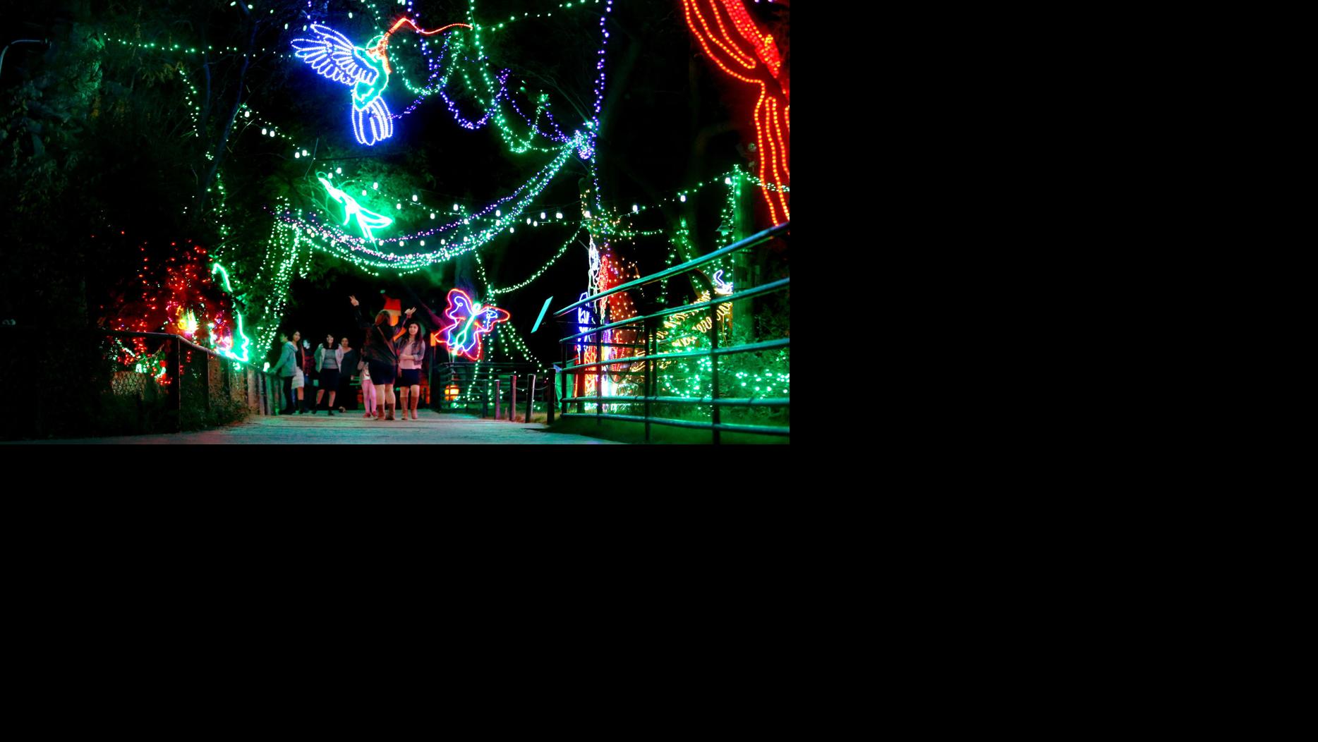 Zoo Lights now open at Reid Park in Tucson Local news