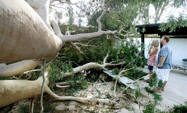 Storm's bark mostly worse than bite