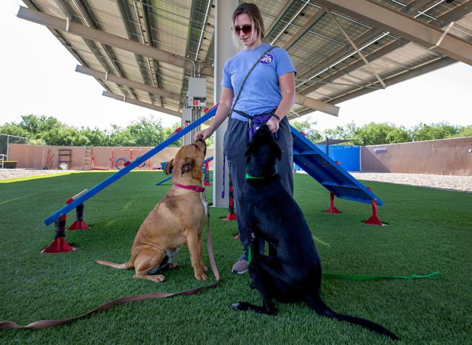 Humane Society Canine Behavior Team