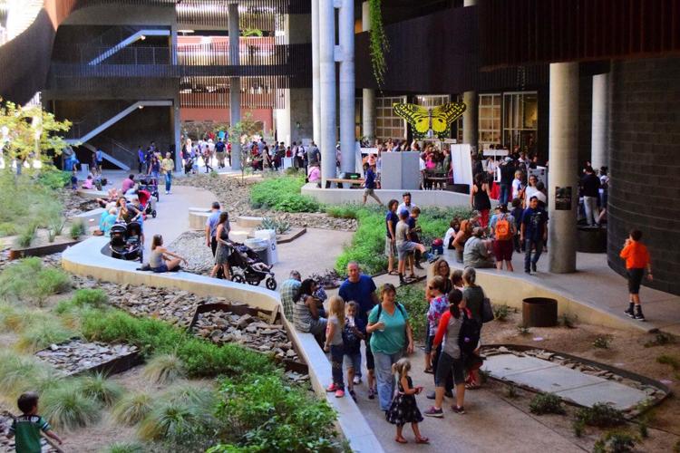 Arizona Insect Festival