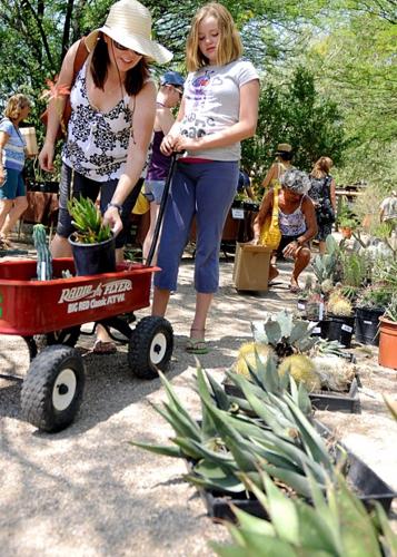 Weird plants draw big crowds   