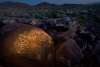 Saguaro National Park