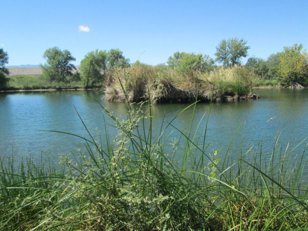 BHP Billiton land