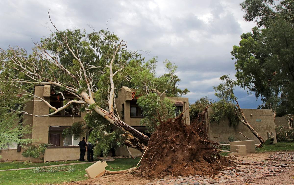 Microburst storm hits Tucson's east side, trees collapse at apartments | Local news | tucson.com