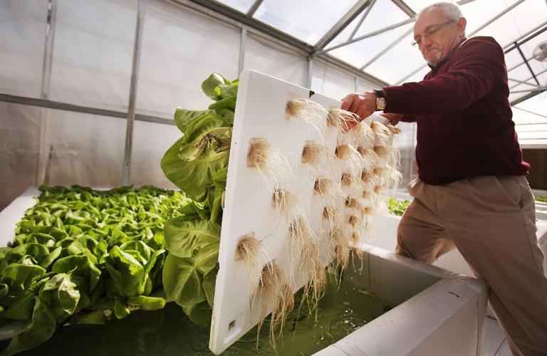 Gotham Greens opens a 10-acre farm/research facility in California