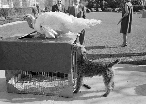 A look at Thanksgiving Days past