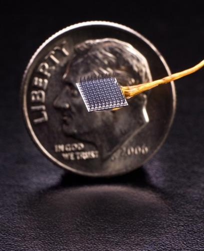 Optimism rises on use of mind control    