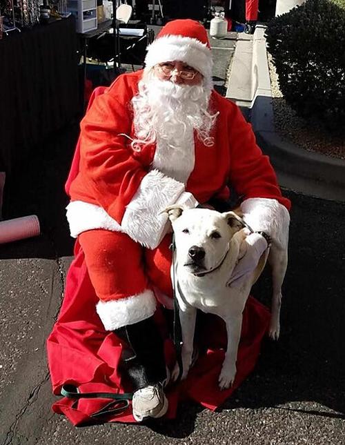 The Southern Arizona Animal Food Bank