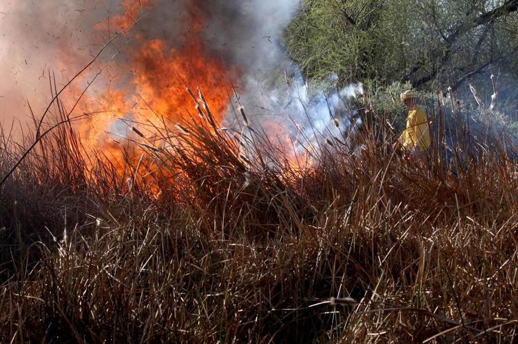 Sweetwater Wetlands Control Burn