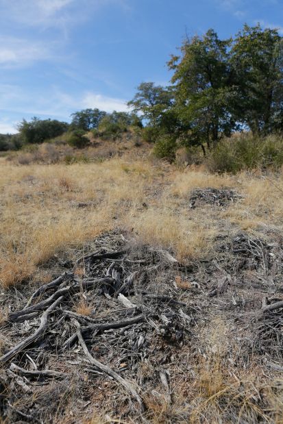 Fire danger in Oracle has officials pushing for better protection for homes